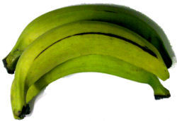 Fresh Green Plantain 3's
