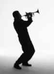 Trumpeter